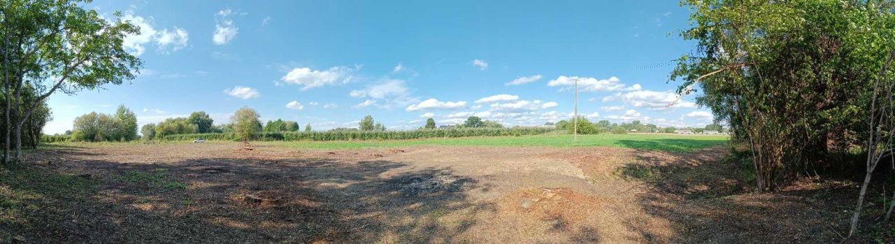 Działka rolna Przewóz Tarnowski. Zdjęcie 7