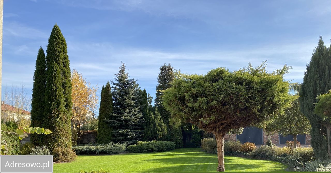 dom wolnostojący, 5 pokoi Skierniewice, ul. Zadębie. Zdjęcie 12