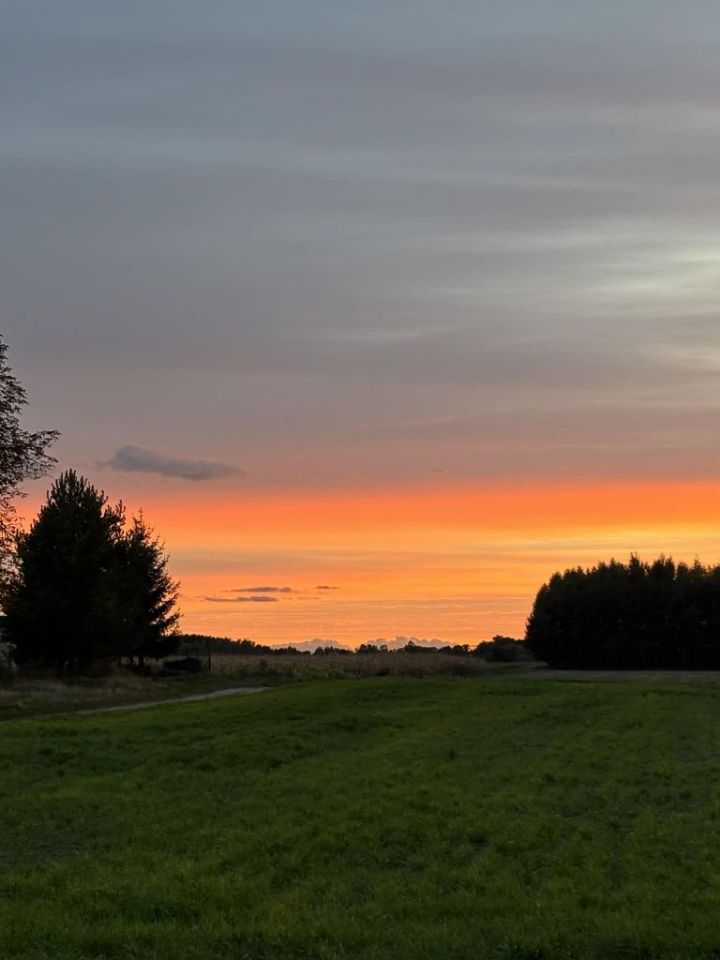 Działka rolno-budowlana Biechówko. Zdjęcie 3