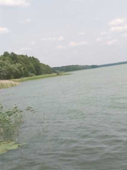 Działka rolno-budowlana Murawki. Zdjęcie 3