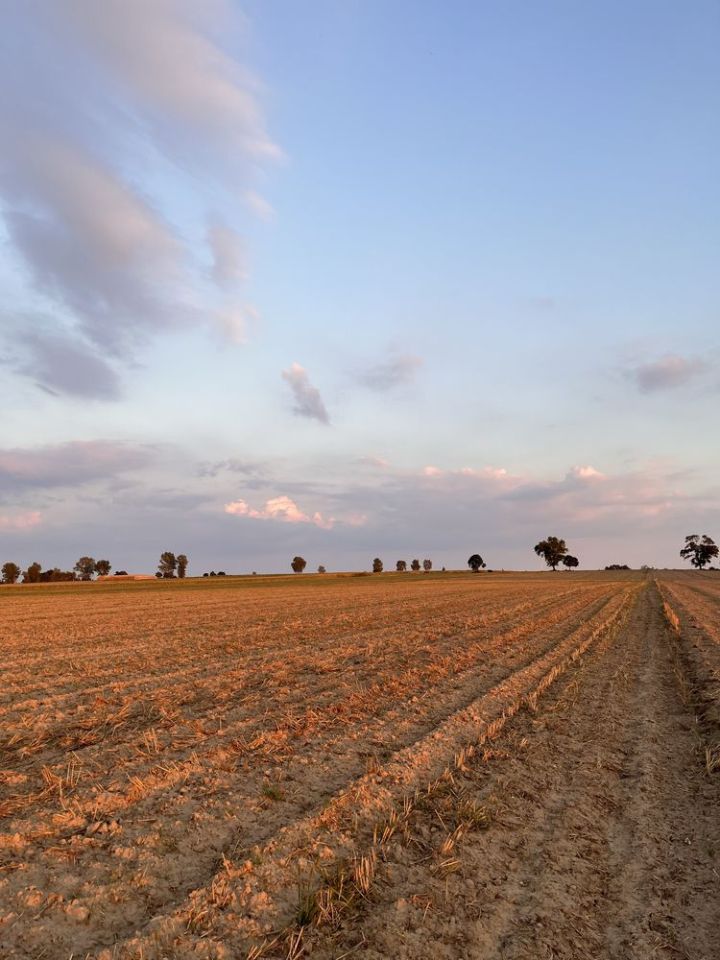 Działka budowlana Stara Wieś. Zdjęcie 4