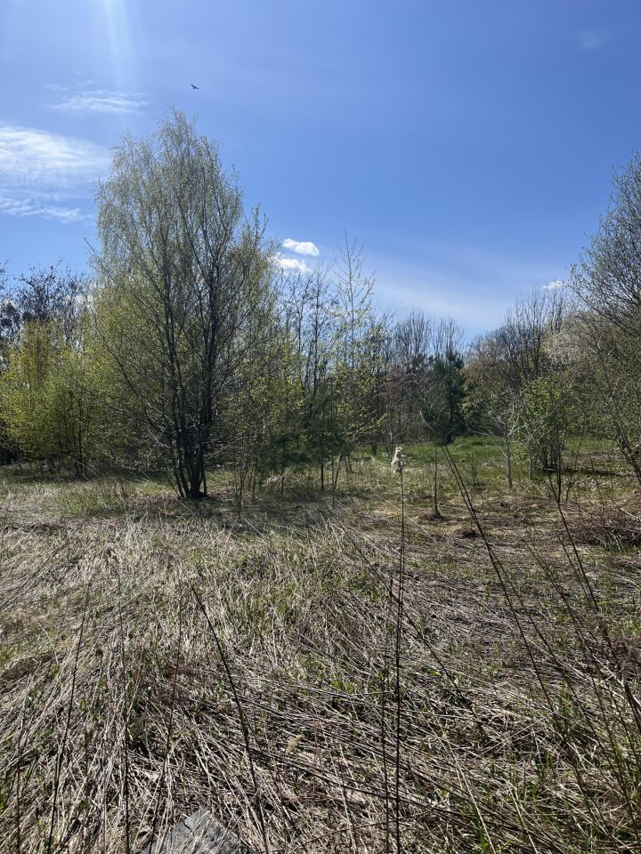 Działka budowlana Rejowiec Fabryczny, ul. Fryderyka Chopina. Zdjęcie 6
