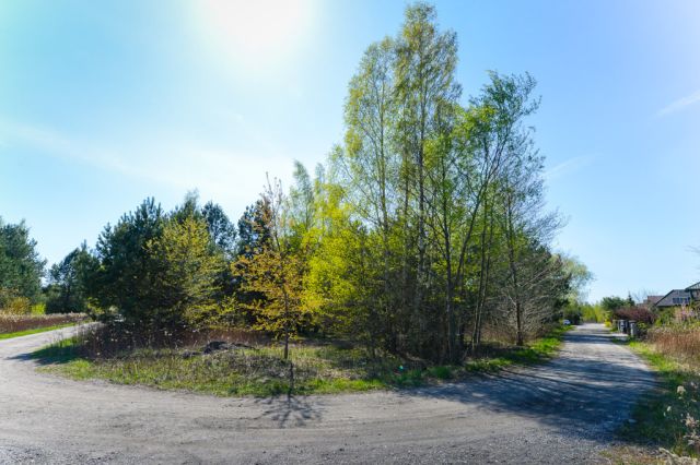 Działka budowlana Michałówek. Zdjęcie 2