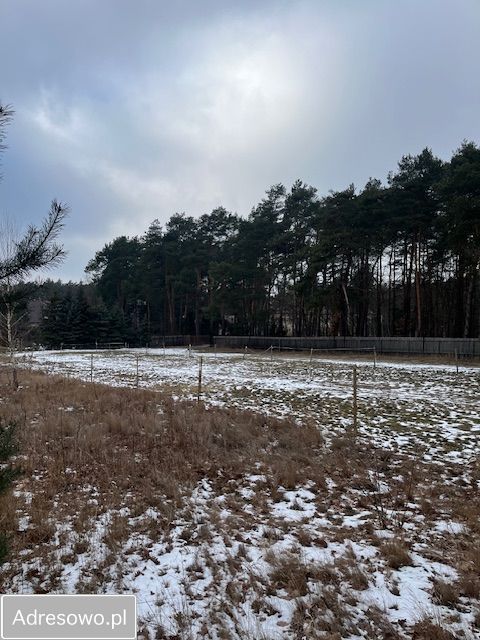 Działka budowlana Warszawa Wawer, ul. Trakt Lubelski. Zdjęcie 2