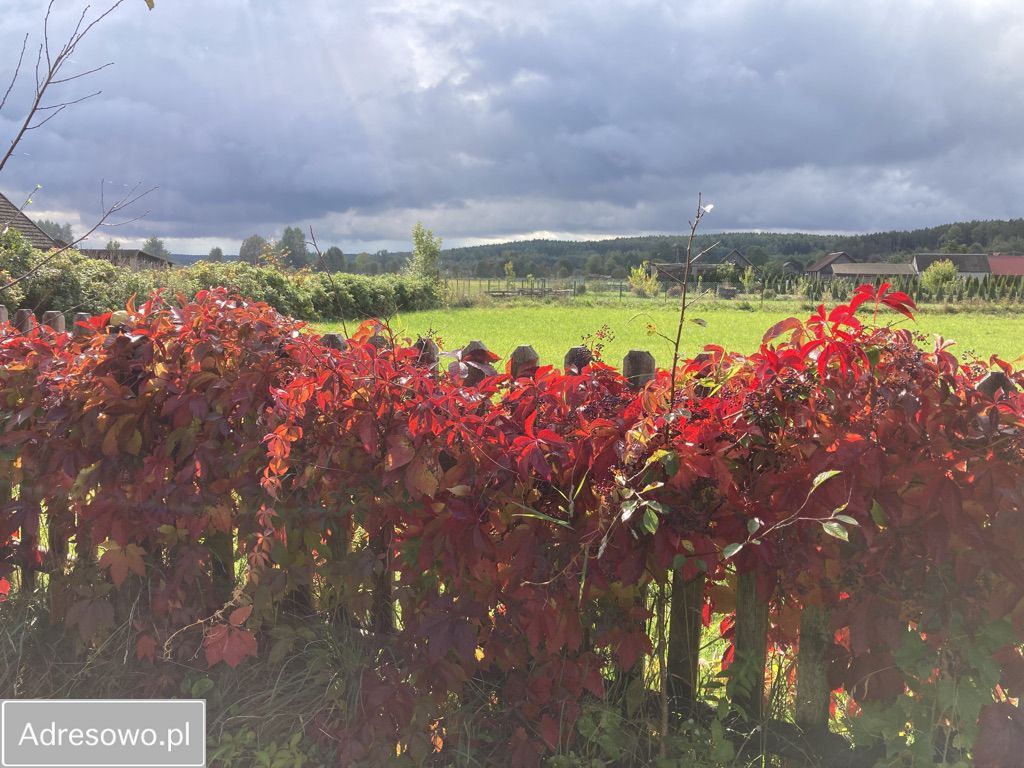 dom wolnostojący, 2 pokoje Wierzchlesie. Zdjęcie 8