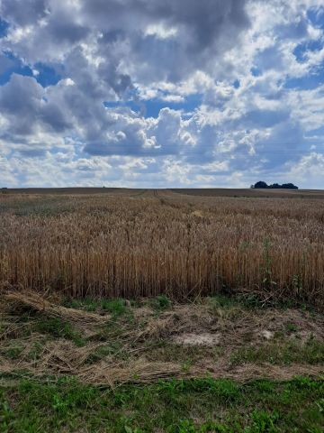 Działka budowlana Jabłonna Druga. Zdjęcie 1