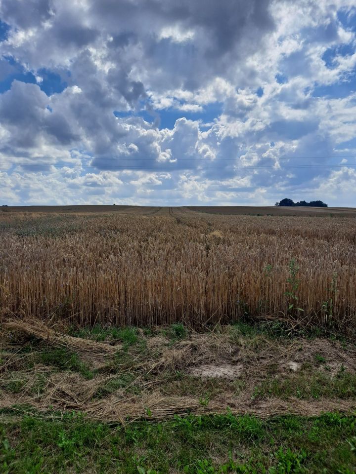 Działka budowlana Jabłonna Druga