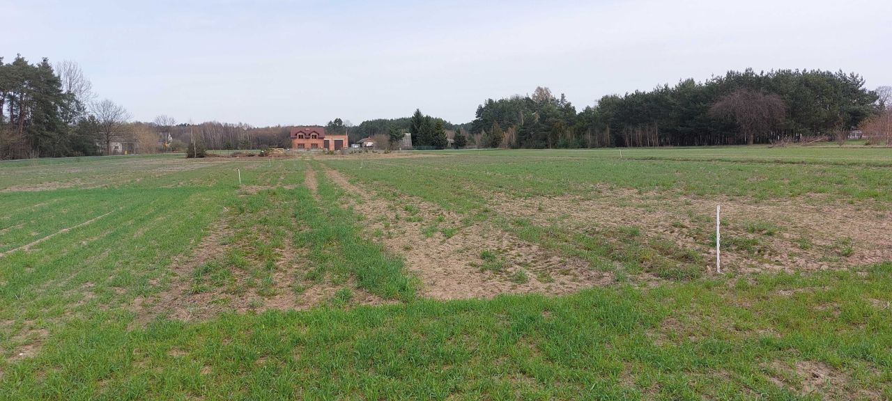 Działka budowlana Mierzączka Duża. Zdjęcie 3