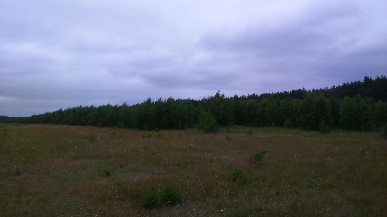 Działka leśna Osówko. Zdjęcie 3