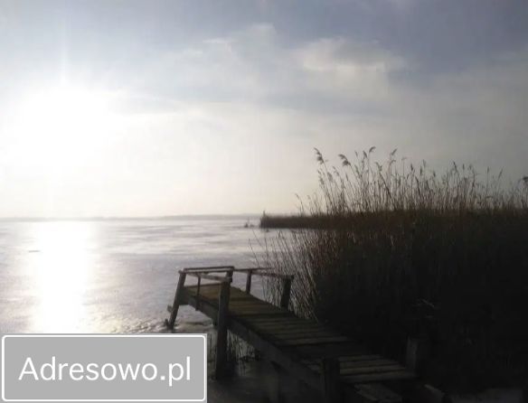 Działka rekreacyjna Zastań. Zdjęcie 5