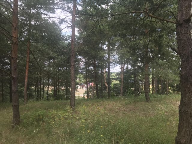 Działka budowlana Okuniowiec. Zdjęcie 9