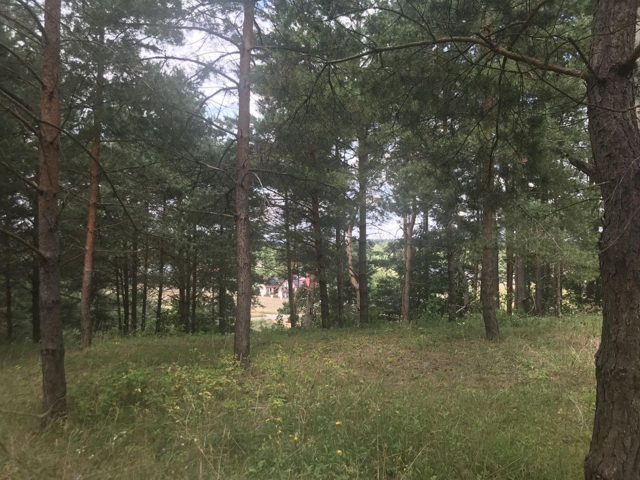 Działka budowlana Okuniowiec. Zdjęcie 9