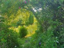 Działka rod Gdańsk Jasień, ul. Źródlana. Zdjęcie 1