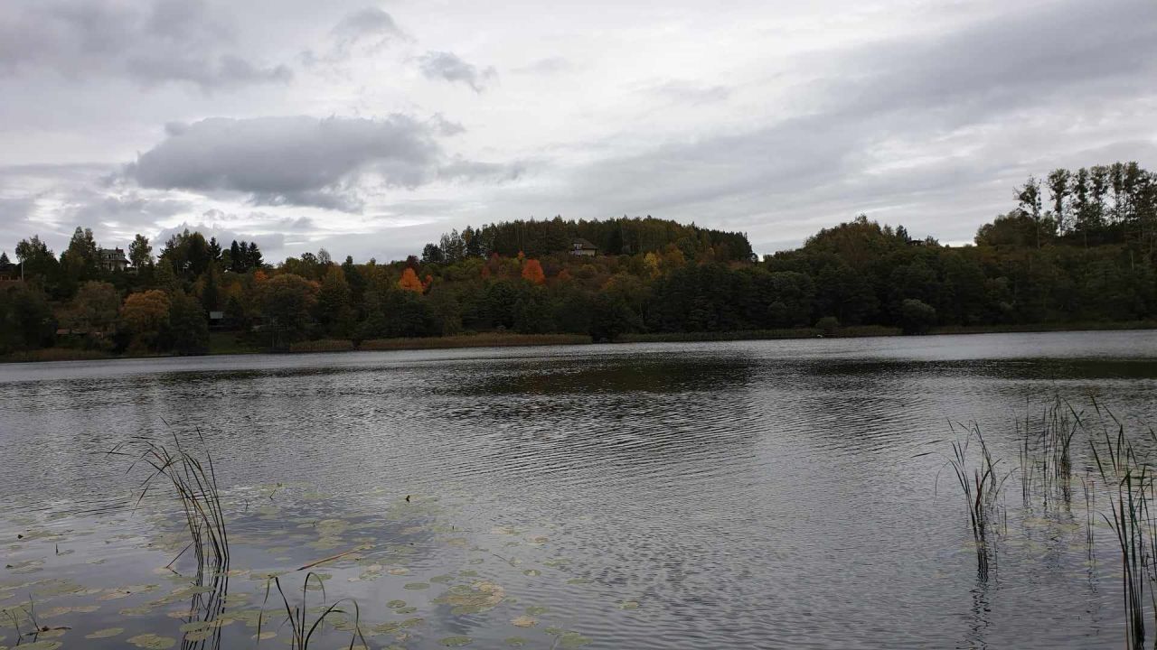 Działka rekreacyjna Kruszyny Szlacheckie. Zdjęcie 2