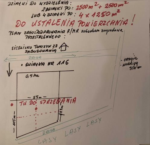 Działka rolna Tomczyn. Zdjęcie 1