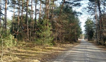 Działka budowlana Białobrzegi