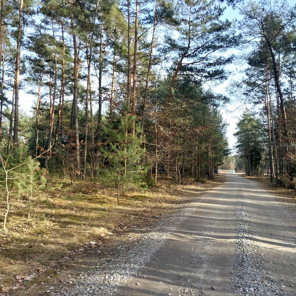 Działka budowlana Białobrzegi. Zdjęcie 2