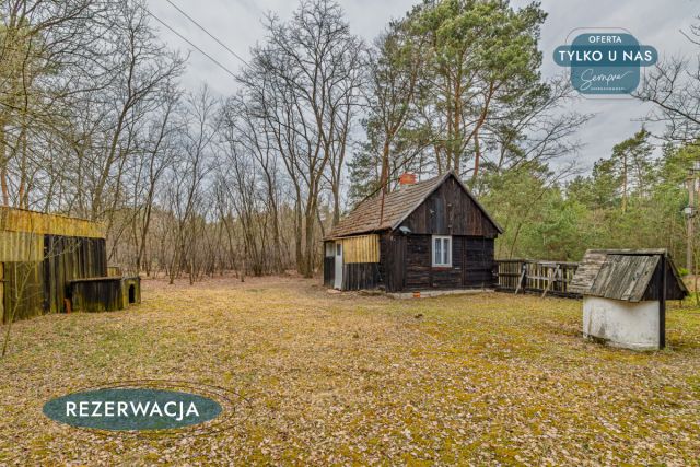 Działka leśna Kije. Zdjęcie 3