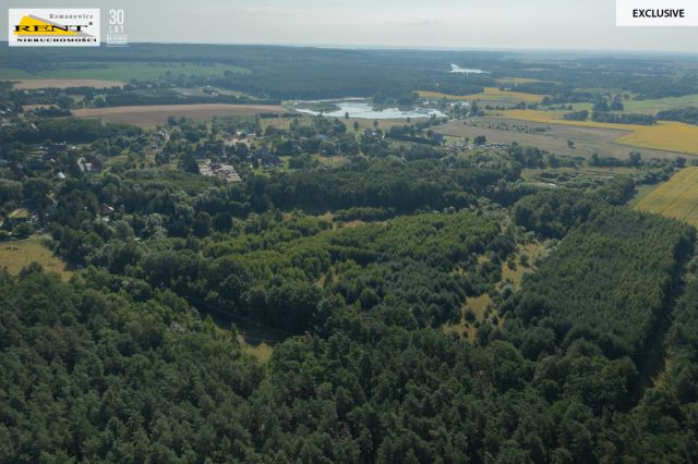 Działka rolna Binowo. Zdjęcie 6