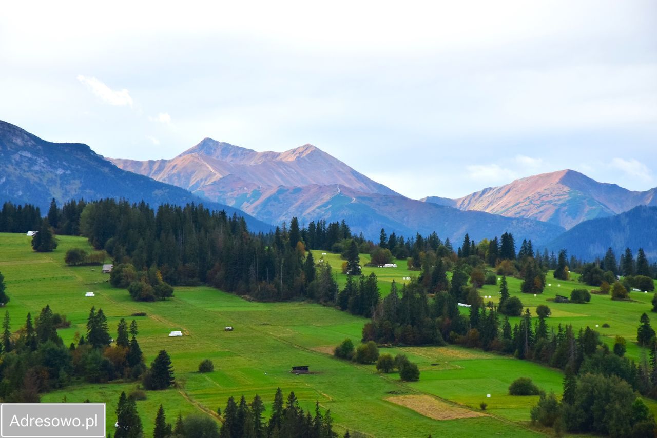 dom wolnostojący, 10 pokoi Dzianisz. Zdjęcie 14