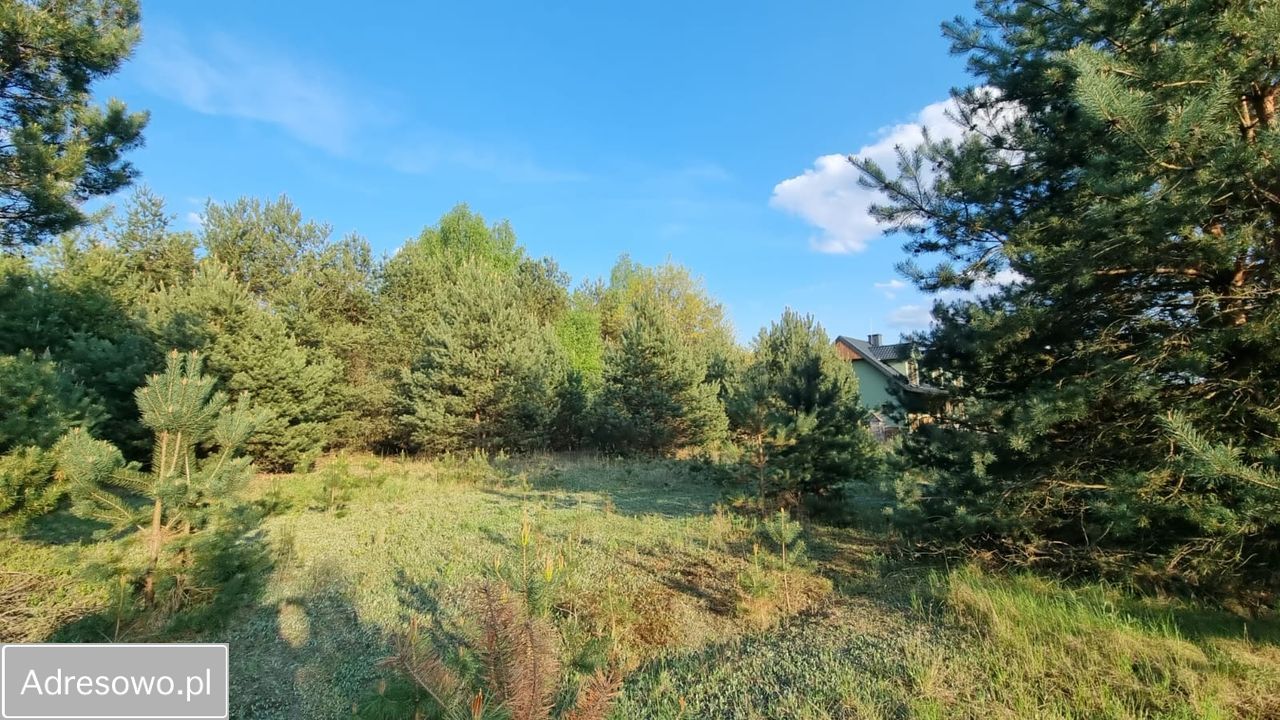 Działka budowlana Powązki, ul. Jarzębinowa. Zdjęcie 2