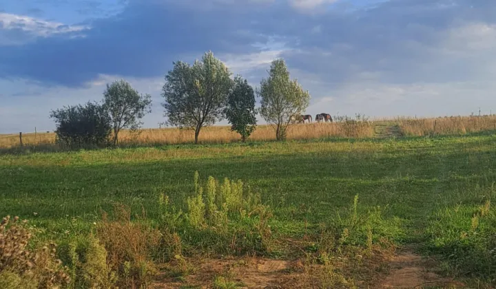 Działka budowlana Stpice
