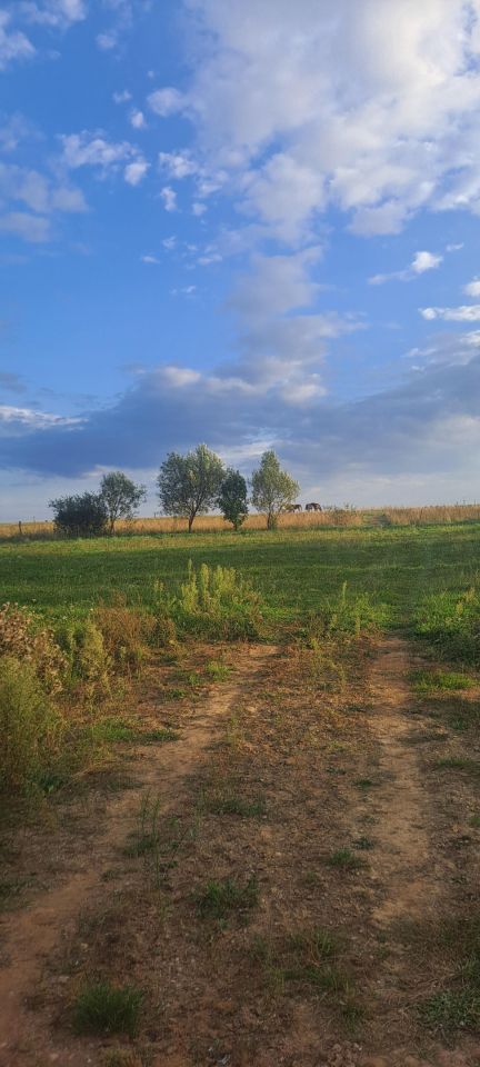 Terreno, 1300 m²