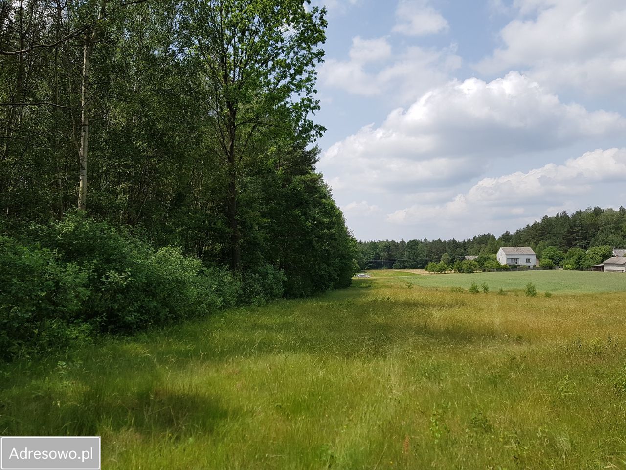 Działka budowlana Kontrewers. Zdjęcie 9
