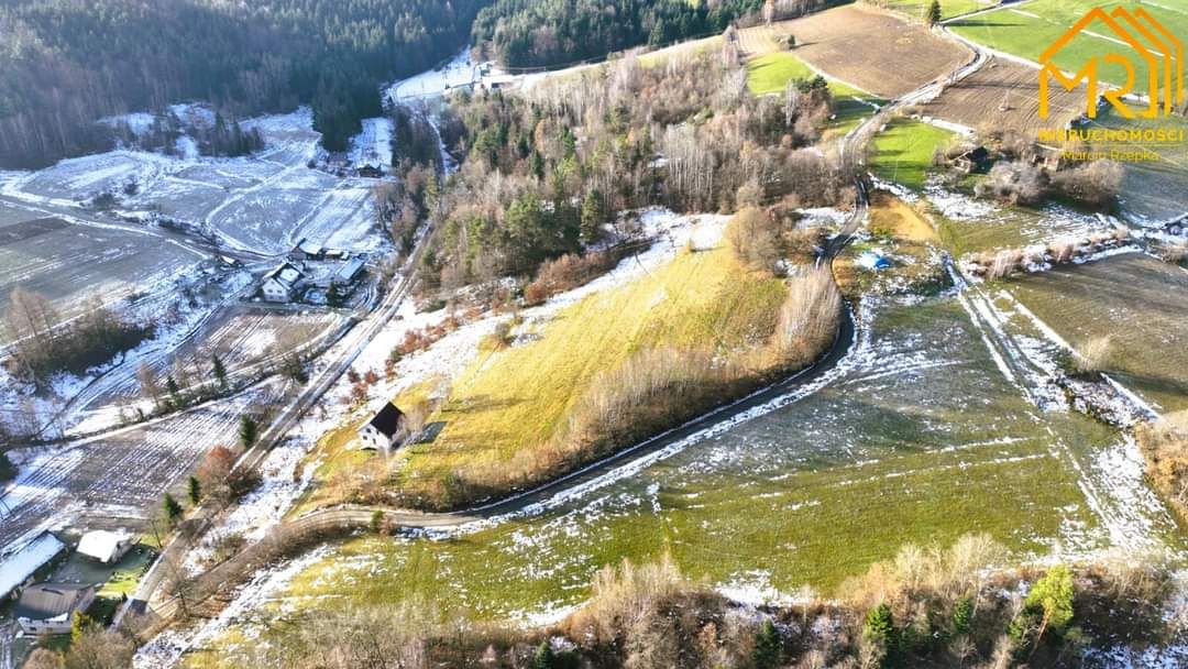 Działka rolno-budowlana Jastrzębia. Zdjęcie 2