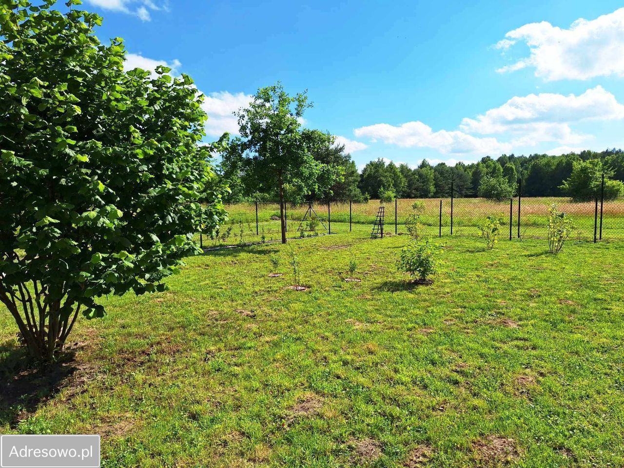 Działka budowlana Wola Lisowska. Zdjęcie 10