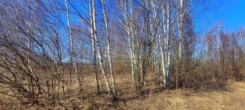 Działka budowlana Różnowo. Zdjęcie 9