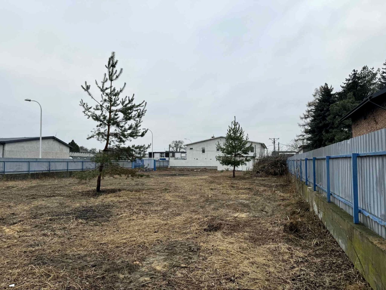 Działka inwestycyjna Sękocin Nowy, ul. Olesińska. Zdjęcie 5