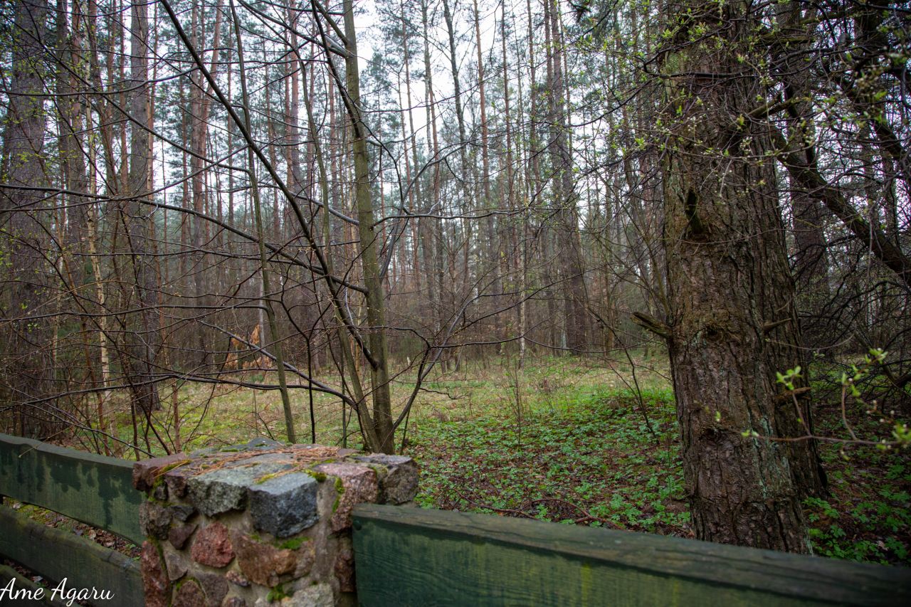 Działka budowlana Marózek. Zdjęcie 8