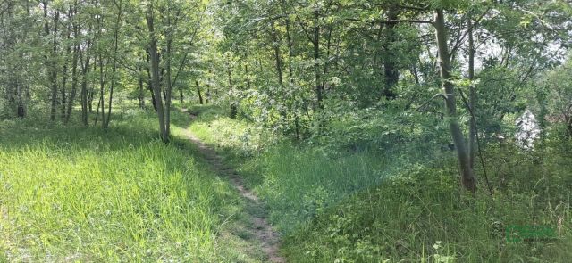 Działka inna Sosnowiec, ul. Teofila Lenartowicza. Zdjęcie 9