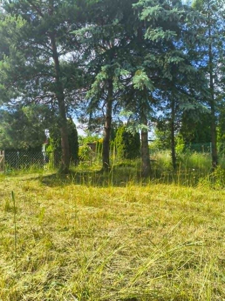 Działka rod Łódź Widzew, ul. Krokusowa. Zdjęcie 4