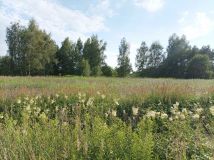 Działka budowlana Gajków, ul. Skowronia. Zdjęcie 3