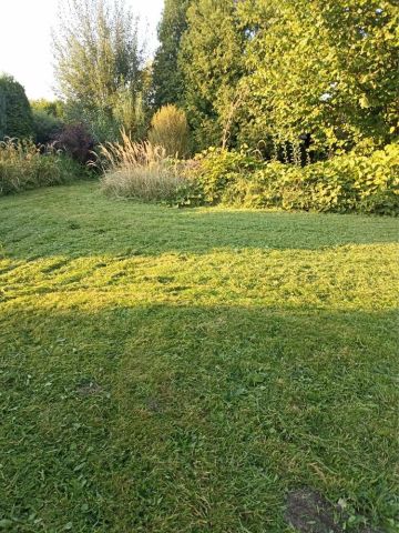 Działka rod Huta Stara B. Zdjęcie 1