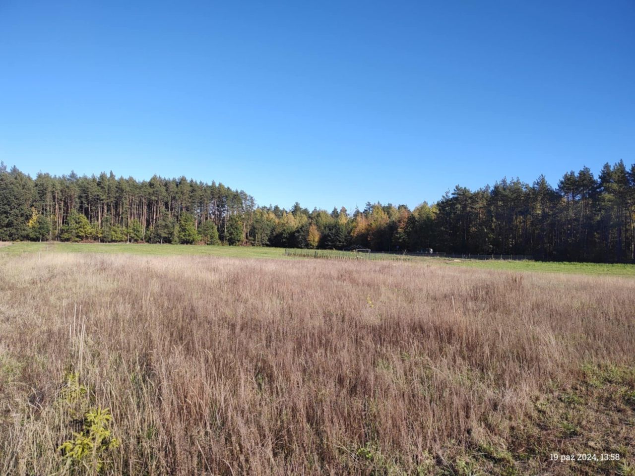 Działka budowlana Mikołajki. Zdjęcie 6