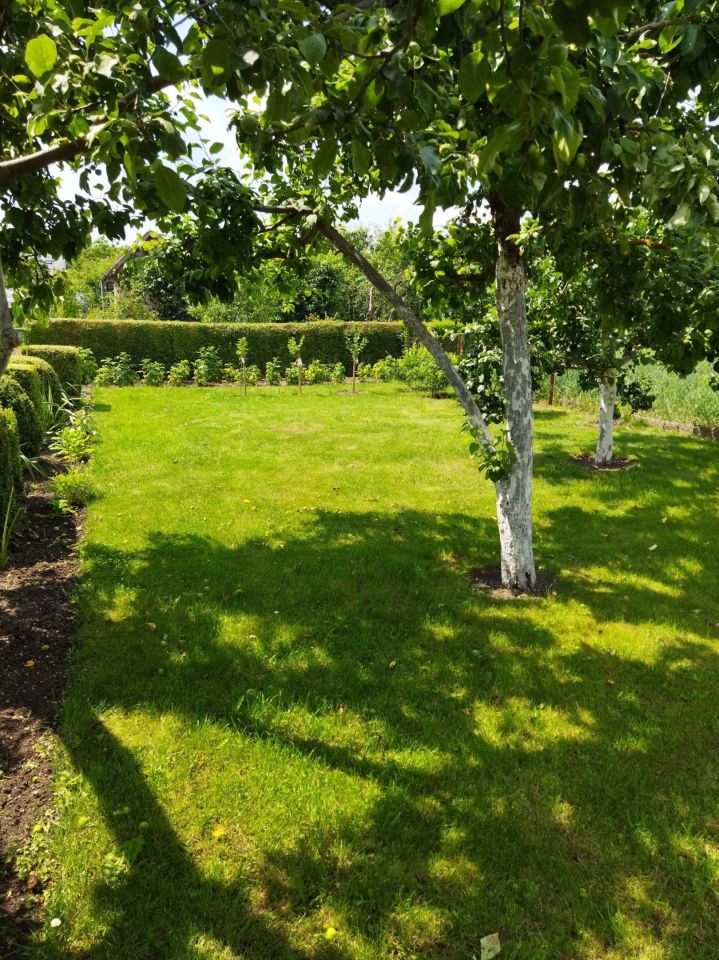 Działka rod Mrągowo