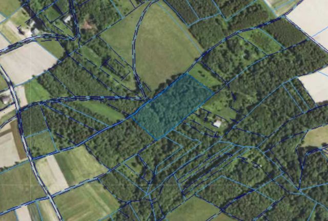 Działka leśna Jaszczurowa Ponikwa. Zdjęcie 9