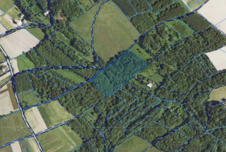 Działka leśna Jaszczurowa Ponikwa. Zdjęcie 9