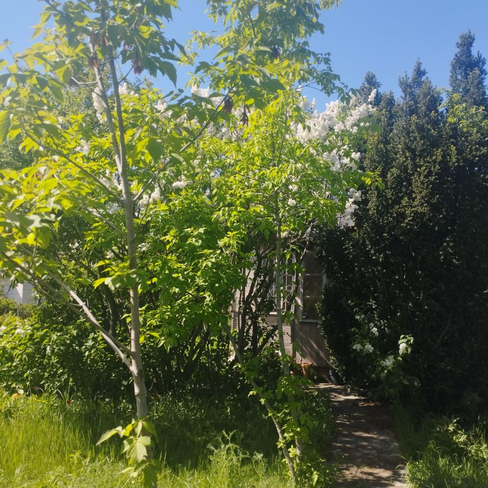 Działka rod Warszawa Targówek, ul. Janowiecka. Zdjęcie 9