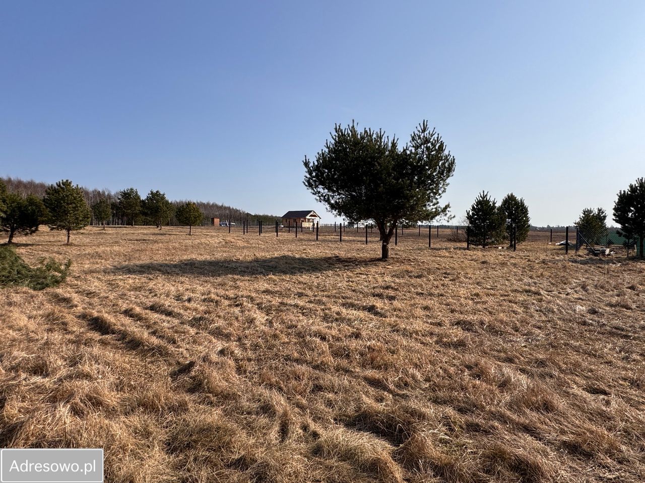Działka rekreacyjna Dołgie. Zdjęcie 7
