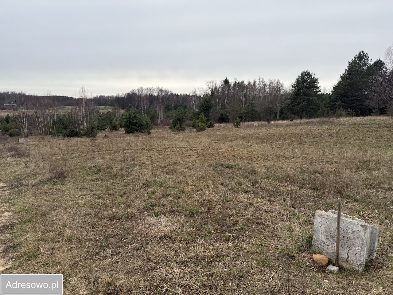 Działka budowlana Niewodnica Kościelna, ul. Borówkowa. Zdjęcie 6