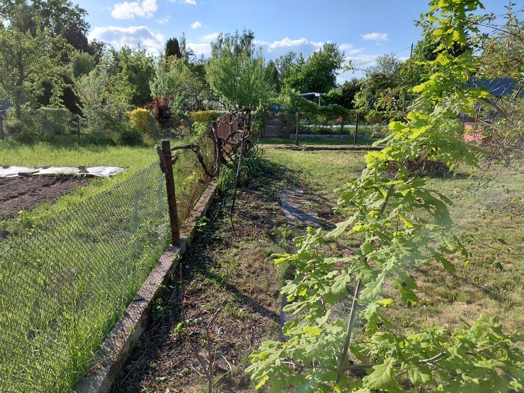 Działka rod Jędrzychowice. Zdjęcie 8