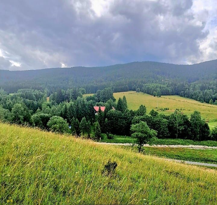 Działka budowlana Nowy Gierałtów. Zdjęcie 1