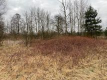 Działka rolno-budowlana Tomczyn Stare Cychry. Zdjęcie 3