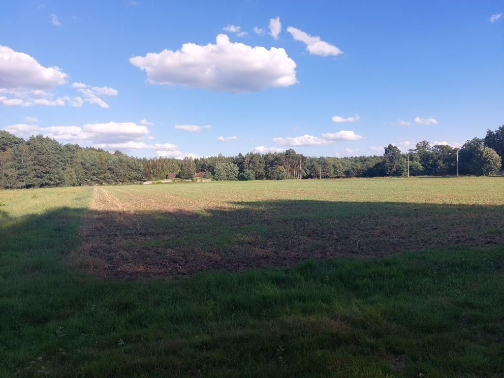 Działka rolno-budowlana Zamęty. Zdjęcie 10