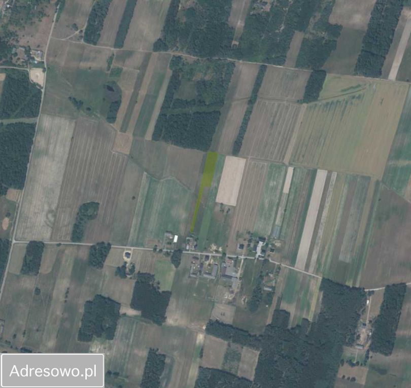Działka rolna Kolonia Sielce