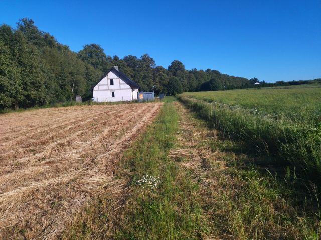 Działka budowlana Nasutów, Nasutów. Zdjęcie 1